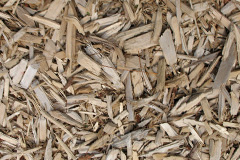biomass boilers Froncysyllte